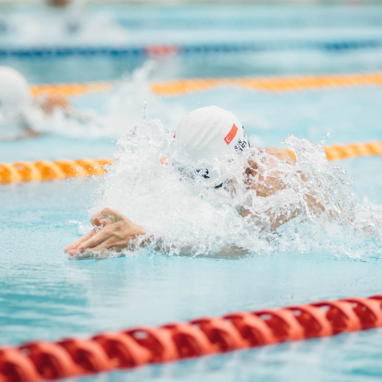 Natación Adultos