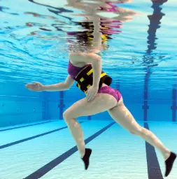 Aquagym nexsport