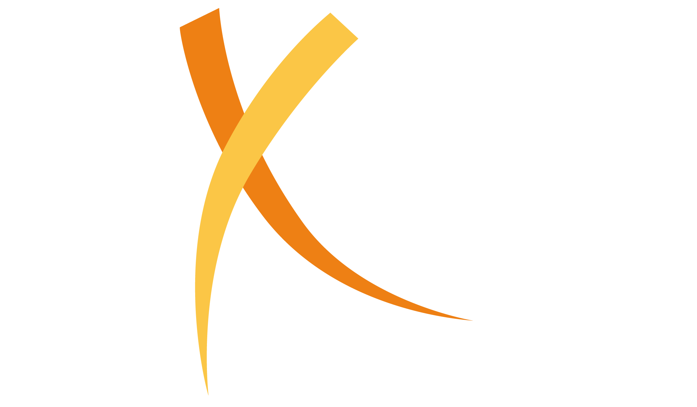Logo NexSport